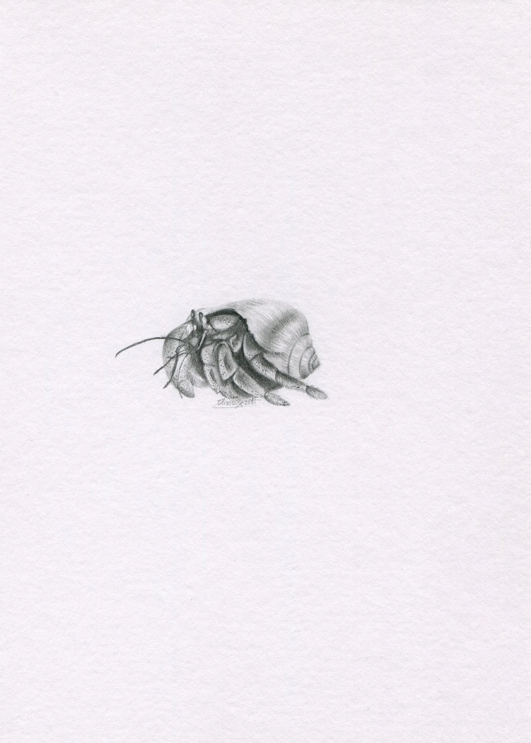 Mini one-off original 'Hermit Crab'