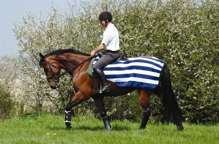 Rambo Newmarket Competition Fleece Blue | Ingatestone Saddlery