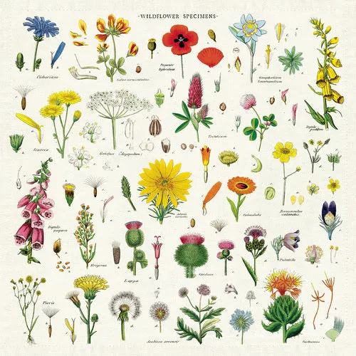 Wildflowers Vintage Napkins (set of 4)